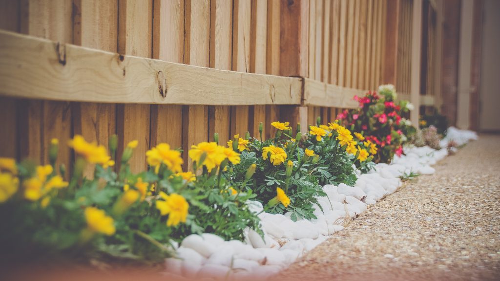 Crawley garden fence